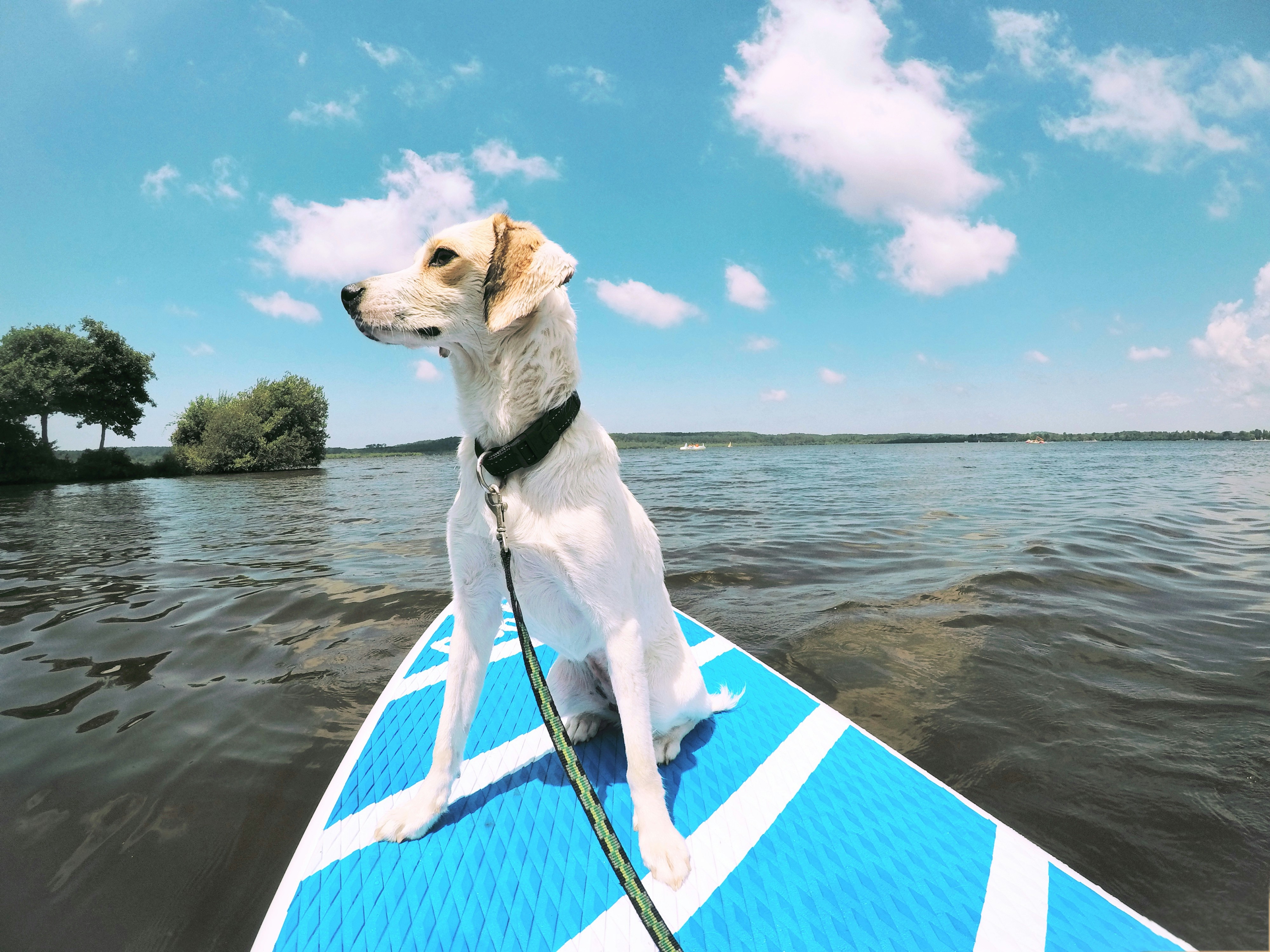Paddleboard 3